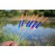 Garbolino Carp Competition Float Sp C81 - 0,3gr - Hard Skin - Inter 3,0Mm - Competition float - Light float