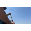 Garbolino Ghost Carp Pole 4.00m Whip Rod with Two Elasticated Top Sets