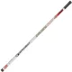 Garbolino Goldencarp 31 10m Pole Rod Pack