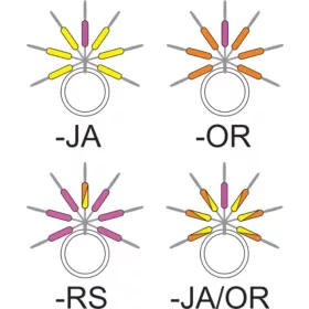   Garbolino - STREAMLINE STIX LINE VISUALIZER - Small items - Stopper - Trout rubber stopper