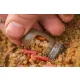 Guru Window Feeder S 40+50gr - Interchangeable weight