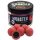 Haldorado Monster Magnum Squid-Blueberry 200gr 30mm Sinking hookbait