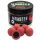 Haldorado Monster Magnum Squid-Blueberry 200gr 35mm Sinking hookbait