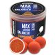 Haldorádó Max Motion Boilie Balanced Spanish Hazelnut 70gr 20mm Boilie