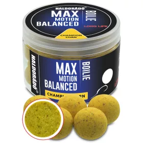   Haldorádó Max Motion Boilie Balanced Champion Corn 70gr 20mm Boilie