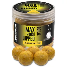   Haldorádó Max Motion Boilie Dipped Champion Corn 100gr 20mm Boilie