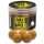 Haldorádó Max Motion Boilie Dipped Spanish Hazelnut 100gr 20mm Bojli
