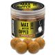 Haldorádó Max Motion Boilie Dipped Spanish Hazelnut 100gr 20mm Bojli