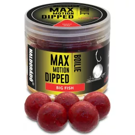   Haldorádó Max Motion Boilie Dipped Big Fish 100gr 20mm Boilie