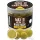 Haldorádó Max Motion Boilie Hard Hook Wafter 16, 20mm Champion Corn Hookbait Boilie 100gr
