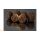 HNV Baits Liver Garlic 24mm Bojli 1kg