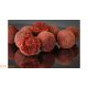 HNV Baits Strawberry Shake Soluble Dissolving Boilie 24mm 1kg
