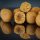 HNV Baits Sweet Nuts Soluble Big Balls Hookbaits 30mm Soluble Hookbaits 165gr