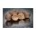 HNV Baits Natur Complex 24mm Bojli 4kg