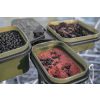 Korum Compact Bait Waiter Set Bait Box Holder Tray with Containers