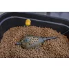 Korum Camo Grub Feeder 60gr