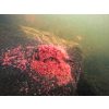 Korum Camo River Method Basket 90gr