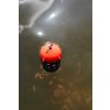 Korum Floating Feeder Side basket 3g