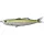 Livetarget Shiner Walking Bait Metallic Lemon Lime 11,5cm 14gr Soft Plastic Lure