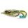 Livetarget Frog Walking Bait Green/Yellow 4,5cm 7gr Frog Artificial bait
