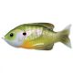 Livetarget Sunfish Walking Bait Natural/gr Sunfish Artificial Bait Bluegill 7,5cm 12gr Sunfish Artificial Bait