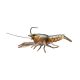 Livetarget Live Craw Finess Bait Orange Pumpkin 6,3cm 11gr Plastic artificial bait