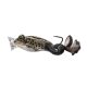 Livetarget The Ultimate Frog Popper Bait Brown Black 5cm 21gr Frog Reproduction