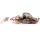 Livetarget Goby Paddletail Rigged Brown-Chartreuse 8,4cm 12gr Sinking Soft Bait