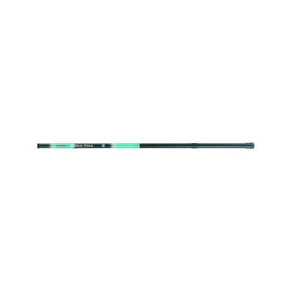 Mivardi Active Pole 300 25gr 3m Whip Rod