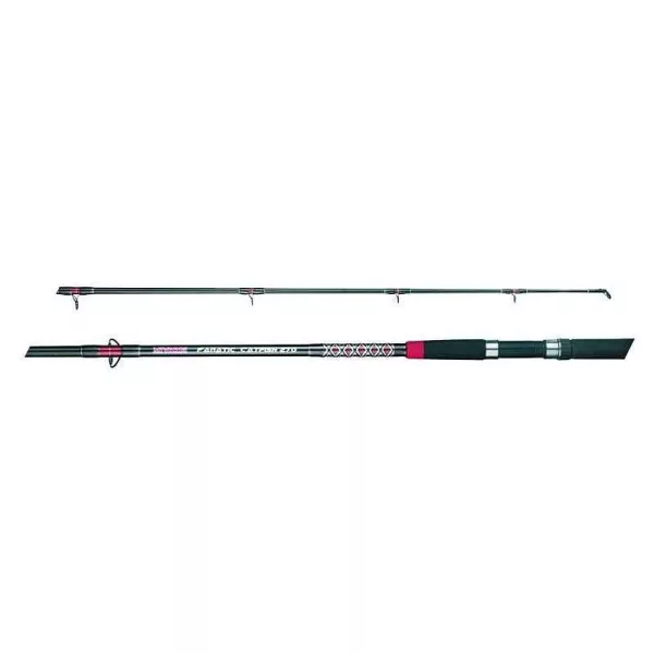 Mivardi Fanatic Catfish 200-400gr 2,40m 2 Section Catfish Rod