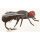 JMC Mouche De Maison H12 - PCB 6 fake fly