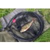 Fox Rage Street Fighter Street Net Spinning Landing Net Short