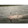 Fox Rage Scent Shads Bulk Nat Wakasagi 9cm Plastic Lure