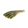 Fox Rage Scent Shads Bulk Green Pumpkin 11cm Plastic Lure