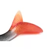 Fox Rage Ultra Realistic Roach Replicant Roach Plastic Lure 18cm 80gr