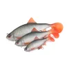 Fox Rage Ultra Realistic Roach Replicant Roach Plastic Lure 18cm 80gr