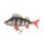 Fox Rage Ultra Realistic Perch Replicant Bass Plastic Bait 10cm 22gr