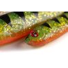 Fox Rage Slick Eel UV Perch Plastic Bait 21cm 20pcs