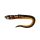 Fox Rage Slick Eel Burbot Plastic Bait 28cm 20pcs