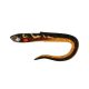 Fox Rage Slick Eel Burbot Plastic Bait 28cm 20pcs