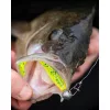 Fox Rage Bulk Loaded Zander Pro Shads UV Lemon Tiger 12cm 4/0 50gr Plastic Bait