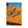 Preston ICS In-Line Dura Flat Method XL 75gr Method Cart