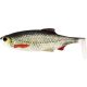 WESTIN Ricky the Roach Shadtail 10cm 14g Real Roach 2pcs Plastic artificial bait