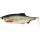 WESTIN Ricky the Roach Shadtail 14cm 42g Real Roach 1pc Plastic artificial bait