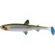 WESTIN HypoTeez Shadtail 6,5 cm Smelt 6 pcs/pack Plastic artificial bait