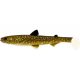 WESTIN HypoTeez Shadtail 11,5cm 11g Natural Pike 2pcs Plastic artificial bait