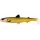 Westin HypoTeez Shadtail 11,5cm 11g Official Roach Plastic Plastic lure