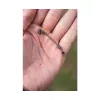 Preston Feeder Links Stiff Short 60mm Anti-tangle 2pcs
