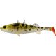 WESTIN Stanley the Stickleback Shadtail 5,5cm 1,5g Pearl Stickleback Box w. Plastic lure