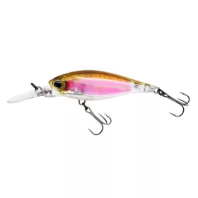 YO-ZURI 3DR SHAD SUSPENDING 70mm - RRT color code Wobbler